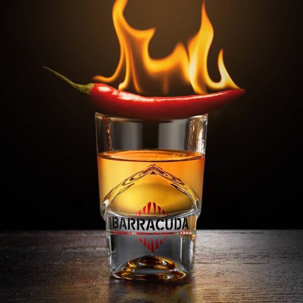 Barracuda hot